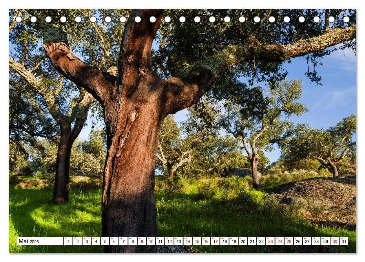 Bild: 9783457683583 | Alentejo - das romantische Portugal (Tischkalender 2026 DIN A5...