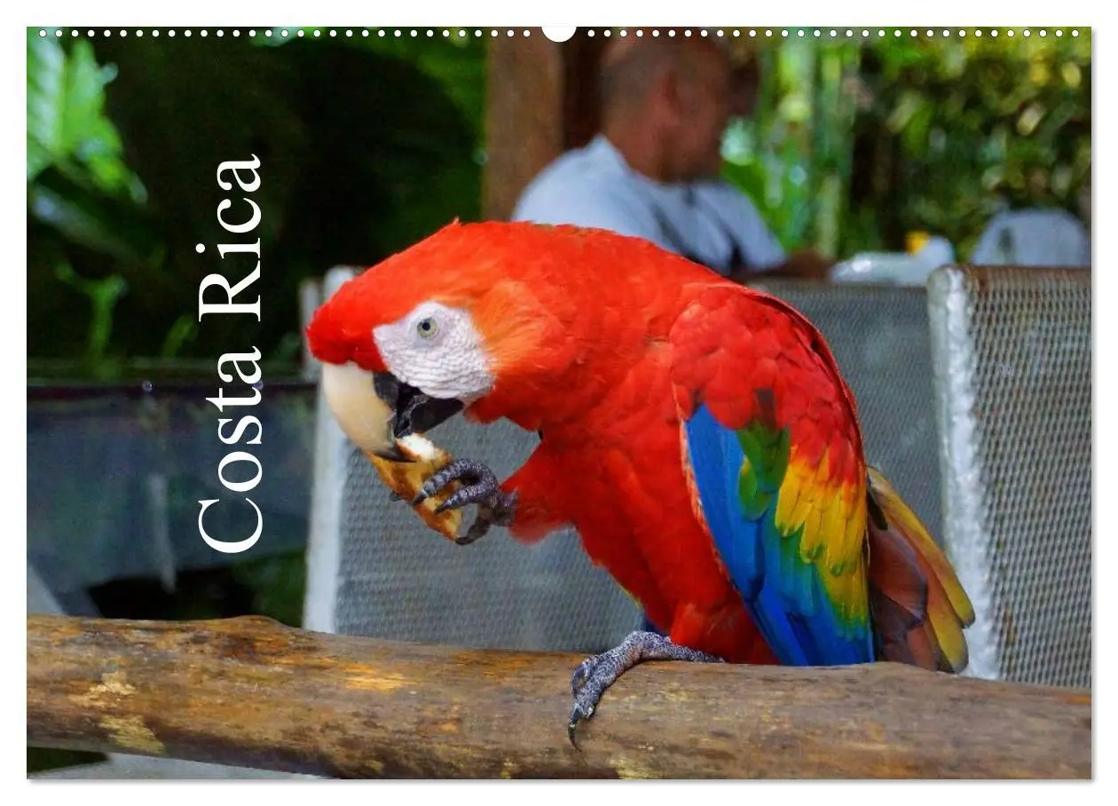 Cover: 9783516153583 | Costa Rica (Wandkalender 2026 DIN A2 quer), CALVENDO Monatskalender