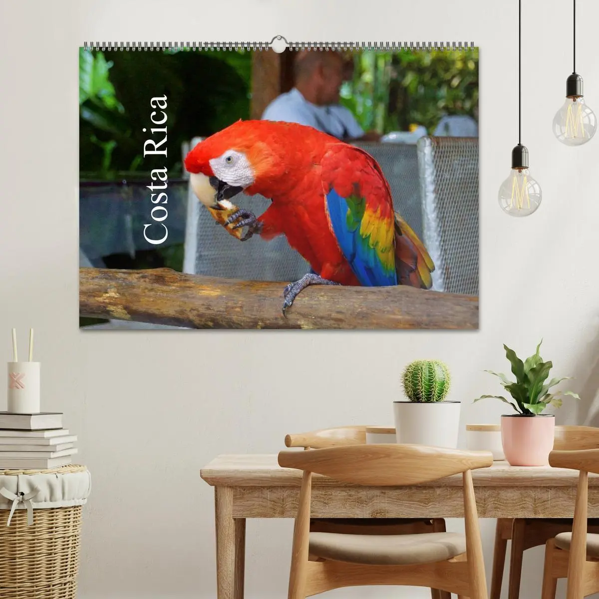 Bild: 9783516153583 | Costa Rica (Wandkalender 2026 DIN A2 quer), CALVENDO Monatskalender