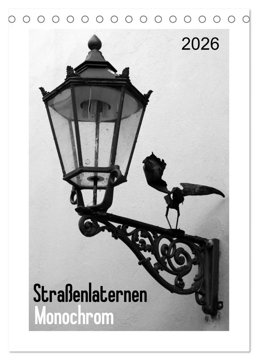 Cover: 9783516463583 | Straßenlaternen Monochrom (Tischkalender 2026 DIN A5 hoch),...