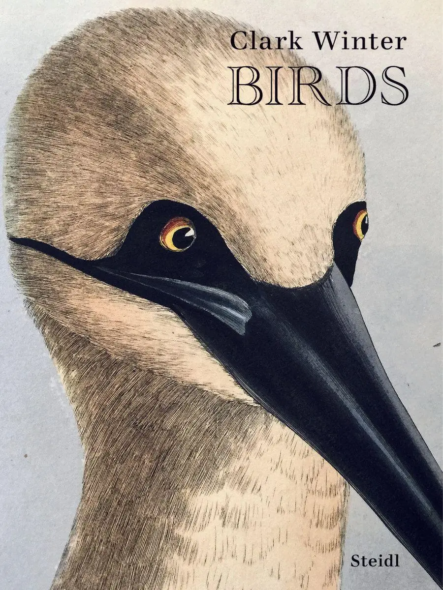 Cover: 9783969993583 | Birds | Clark Winter | Buch | 160 S. | Englisch | 2026