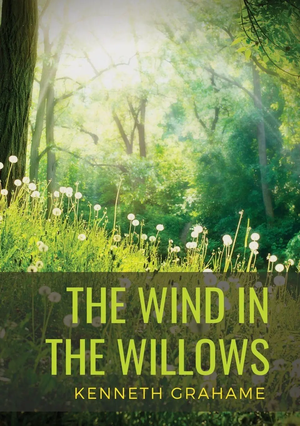 Cover: 9782382743683 | The Wind in the Willows | Kenneth Grahame | Taschenbuch | Englisch
