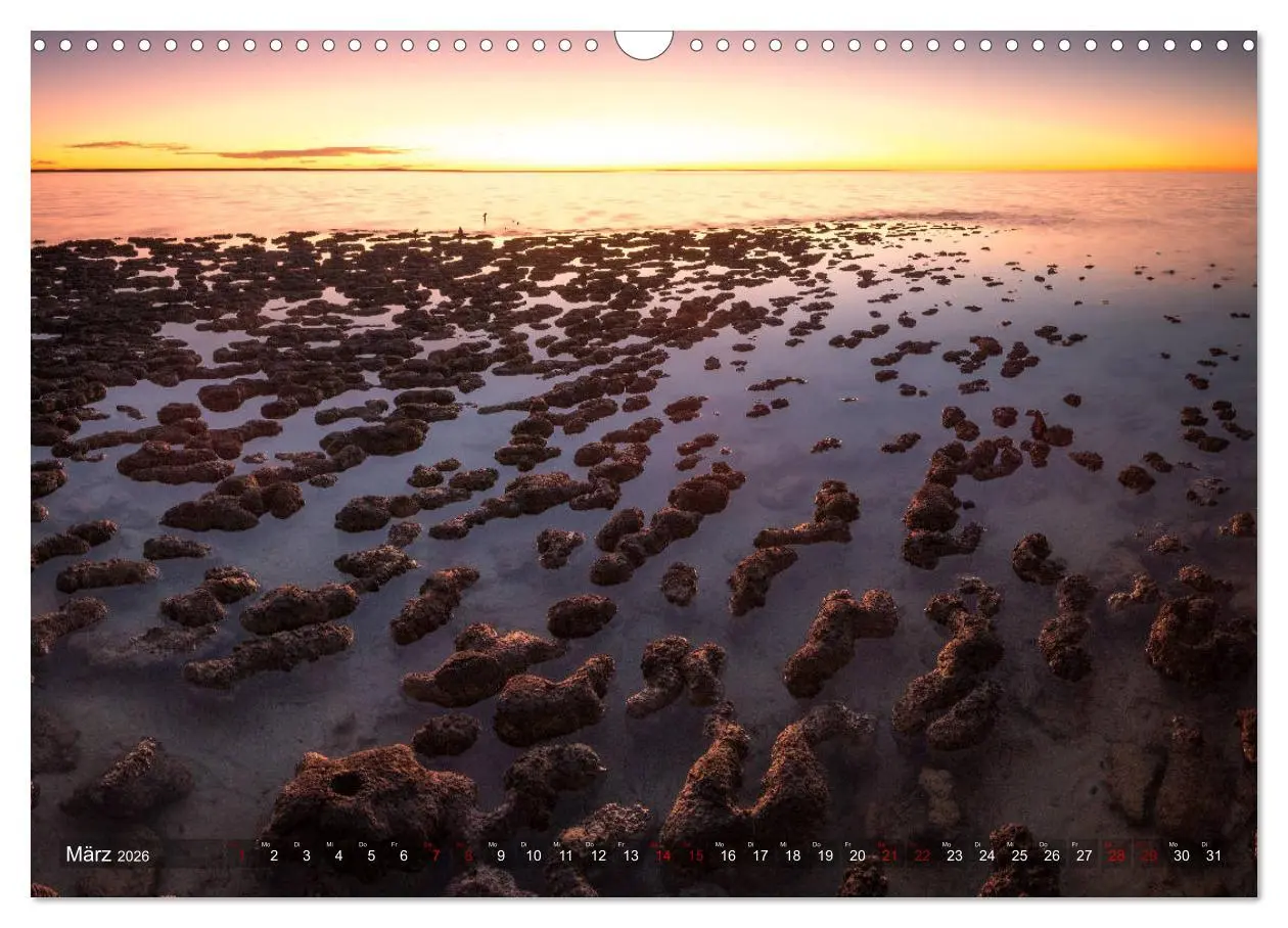 Bild: 9783457743683 | Das wilde Australien (Wandkalender 2026 DIN A3 quer), CALVENDO...