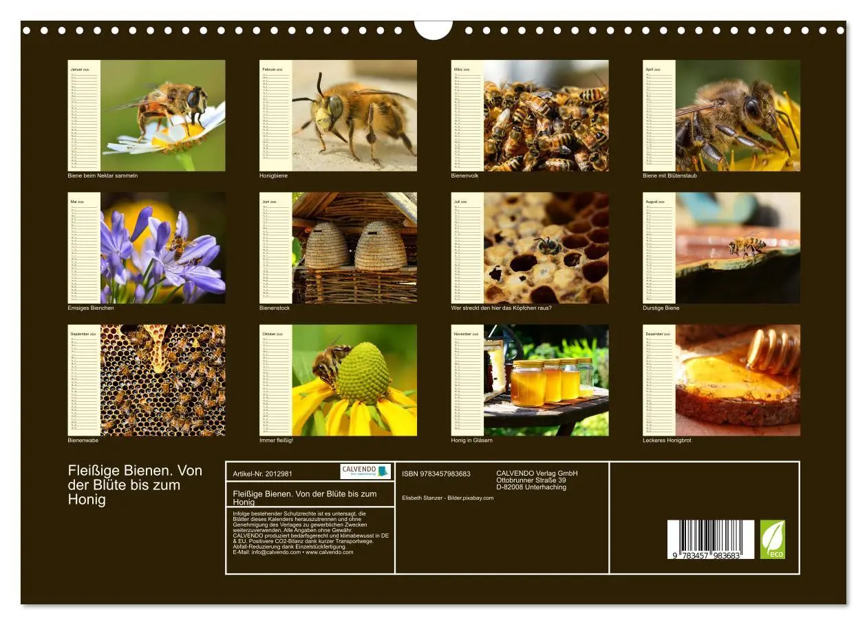 Bild: 9783457983683 | Fleißige Bienen. Von der Blüte bis zum Honig (Wandkalender 2026 DIN...