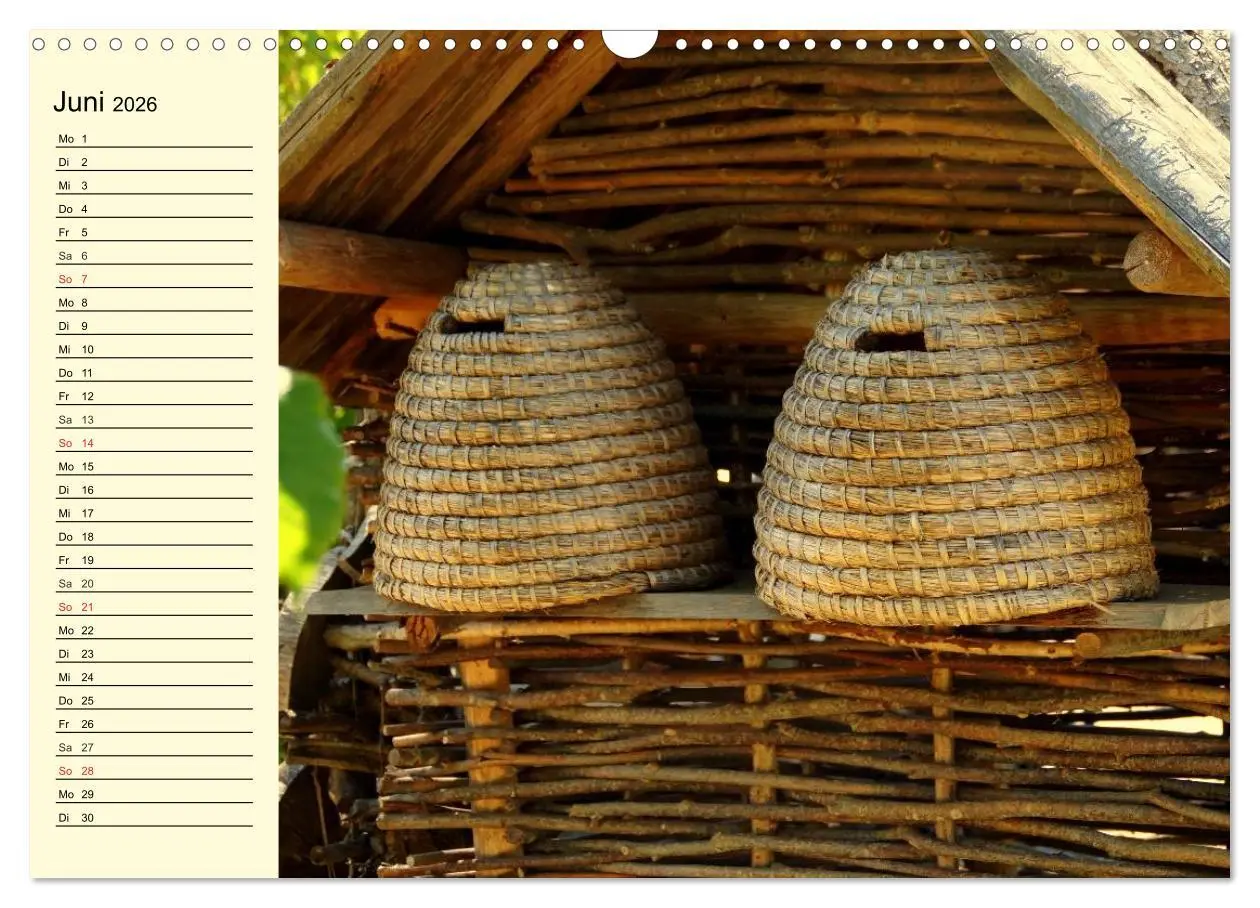 Bild: 9783457983683 | Fleißige Bienen. Von der Blüte bis zum Honig (Wandkalender 2026 DIN...