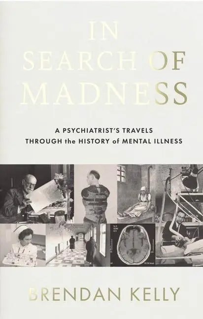 Cover: 9780717193783 | In Search of Madness | Brendan Kelly | Taschenbuch | Englisch | 2023