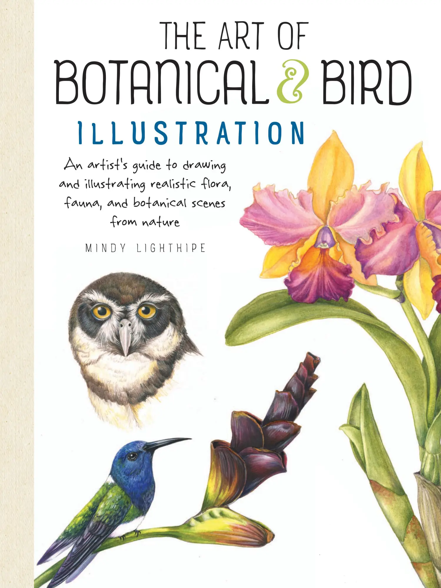 Cover: 9781633223783 | Art of Botanical &amp; Bird Illustration | Mindy Lighthipe | Taschenbuch