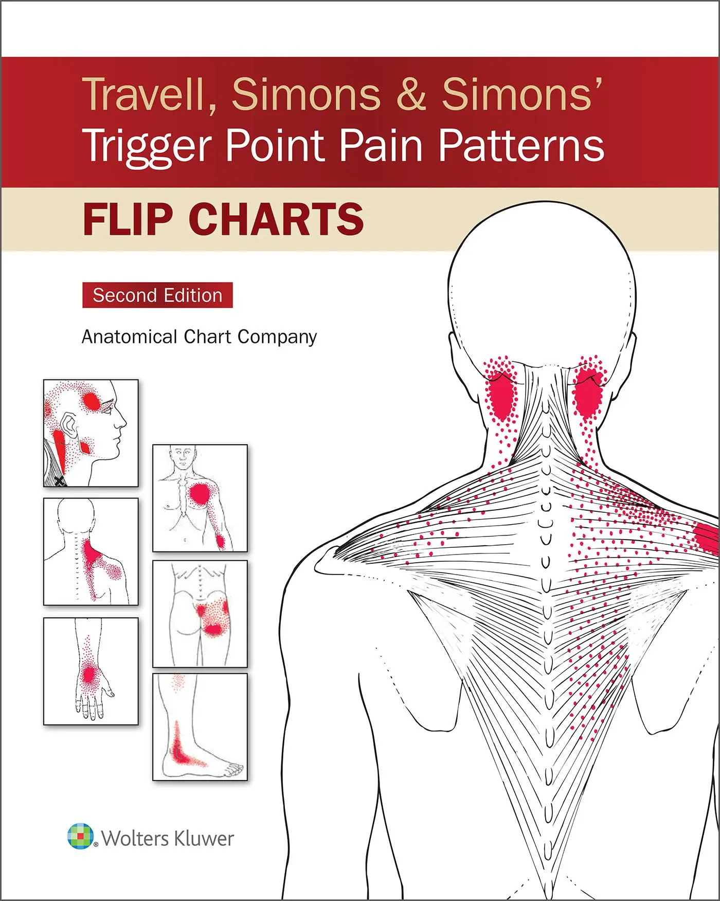 Cover: 9781975183783 | Travell, Simons &amp; Simons' Trigger Point Pain Patterns Flip Charts