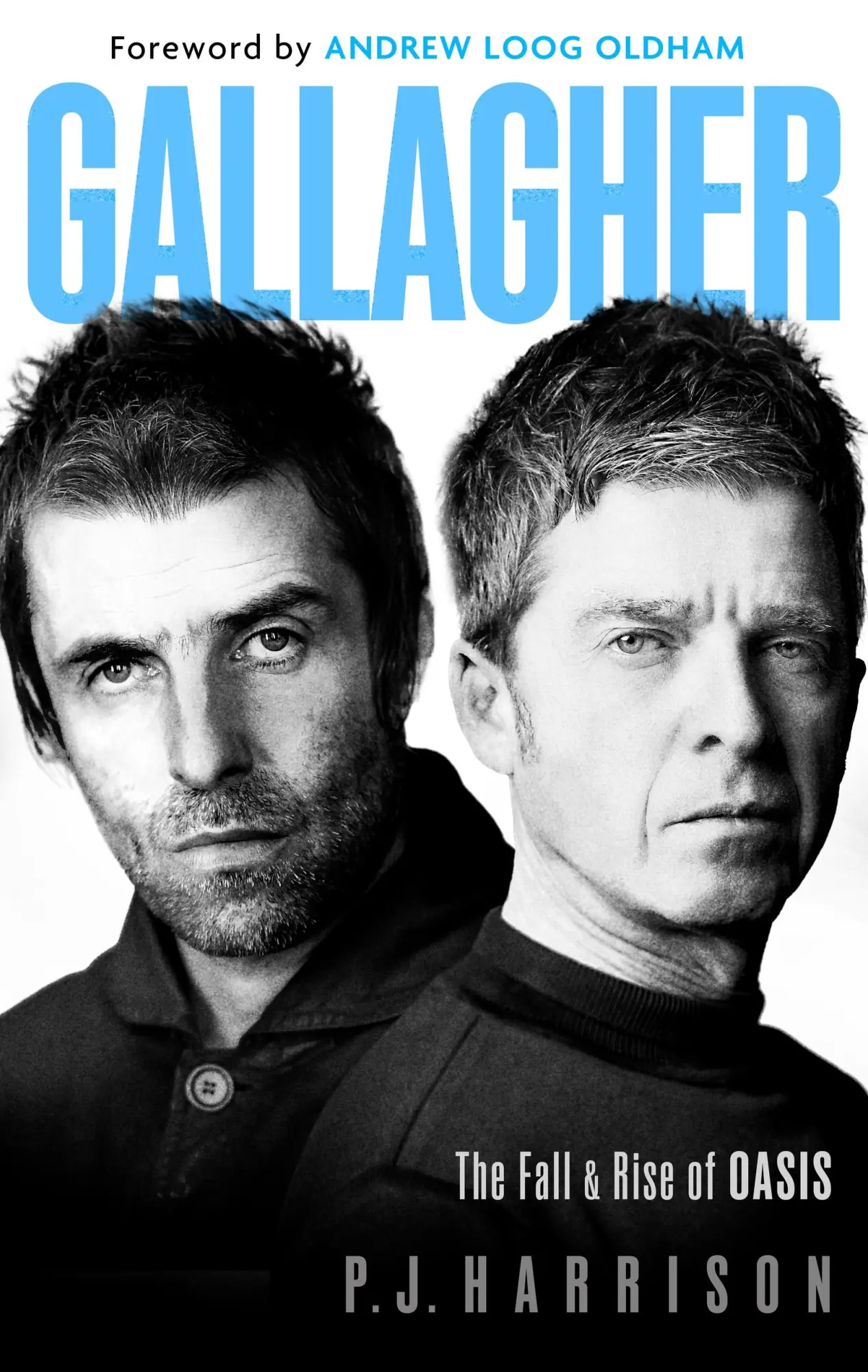 Cover: 9781408723883 | Gallagher | P. J. Harrison | Taschenbuch | Englisch | 2025