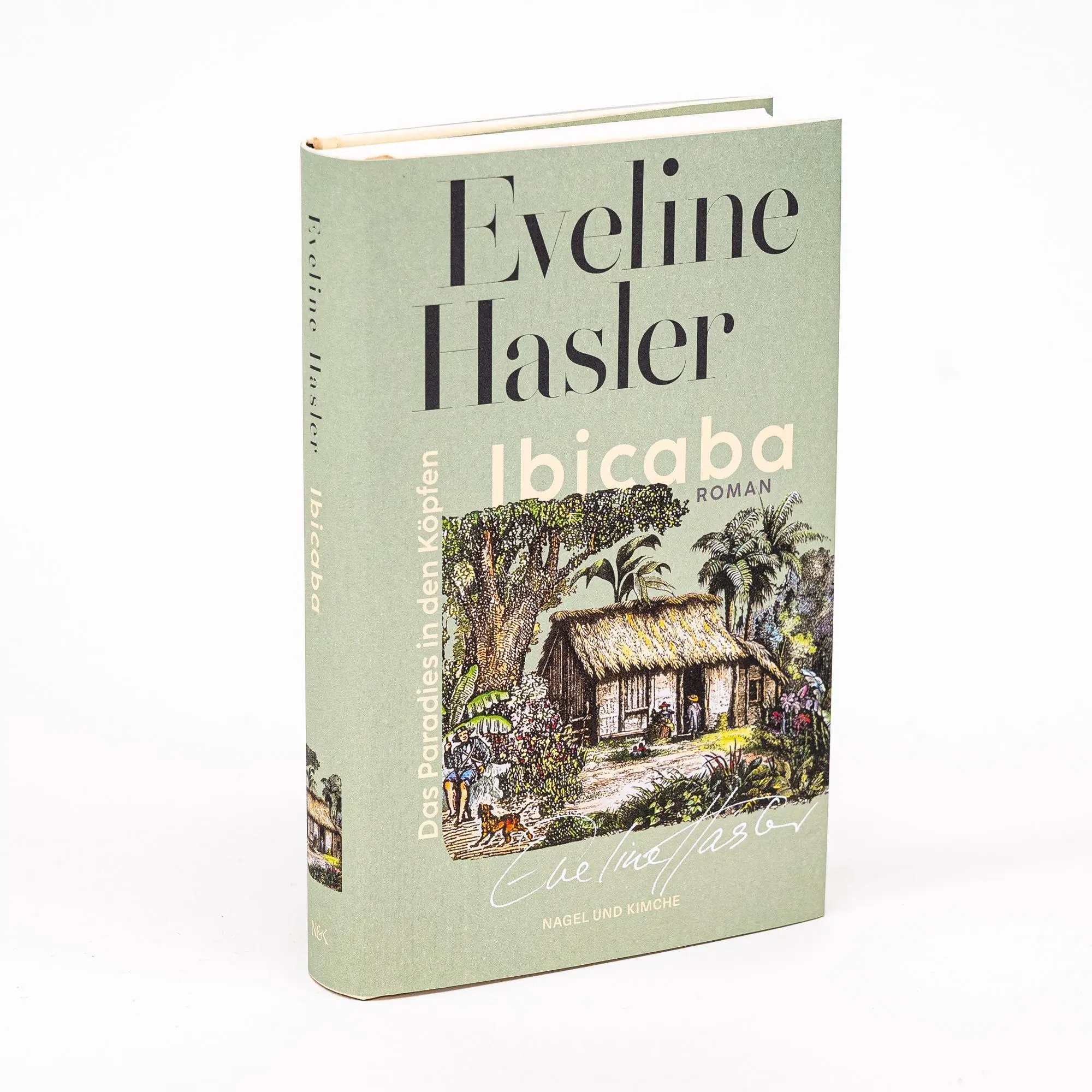 Bild: 9783312013883 | Ibicaba | Eveline Hasler | Buch | 320 S. | Deutsch | 2025