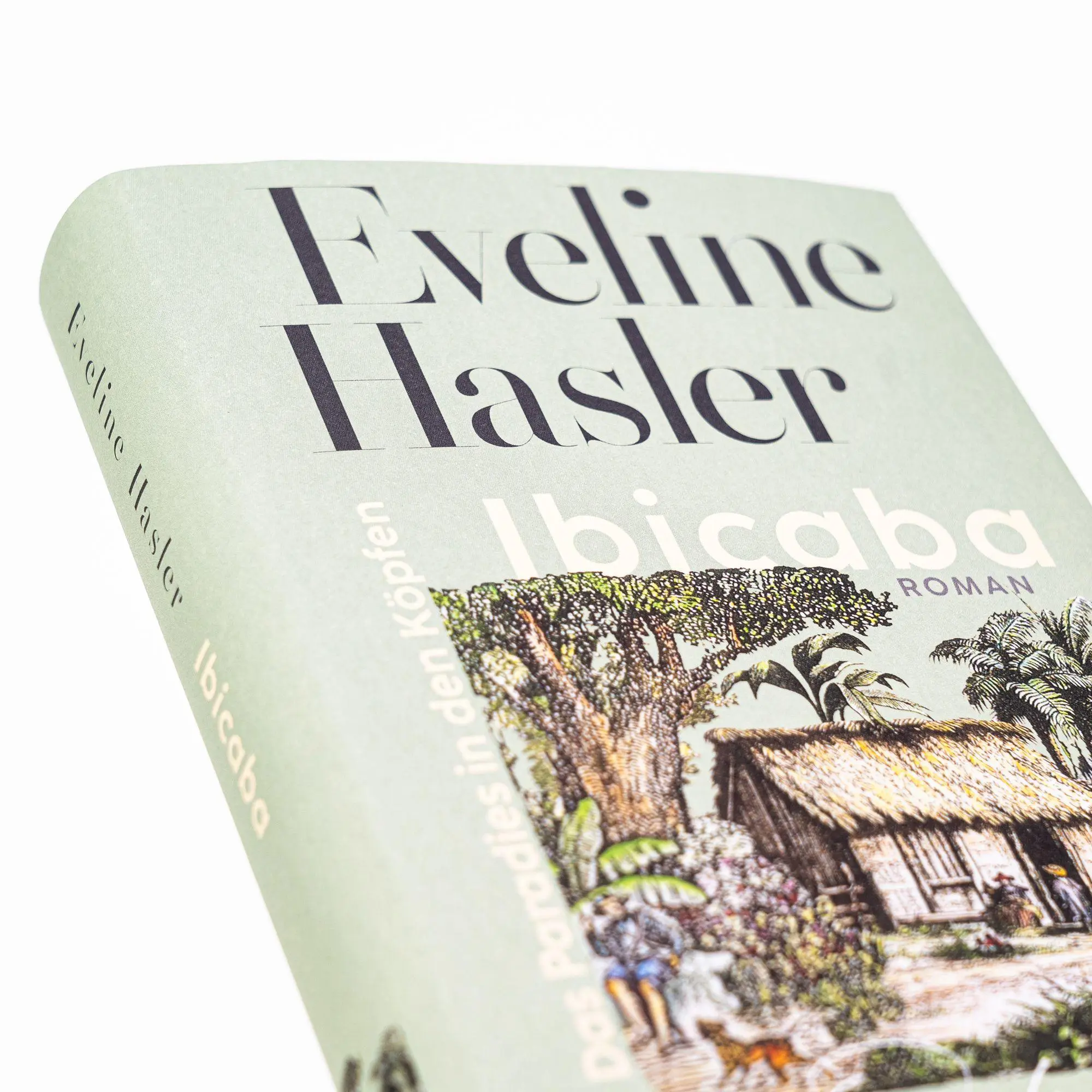 Bild: 9783312013883 | Ibicaba | Eveline Hasler | Buch | 320 S. | Deutsch | 2025
