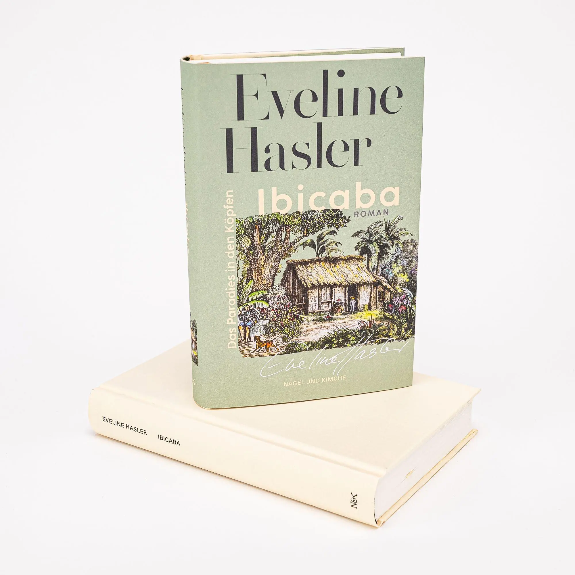 Bild: 9783312013883 | Ibicaba | Eveline Hasler | Buch | 320 S. | Deutsch | 2025