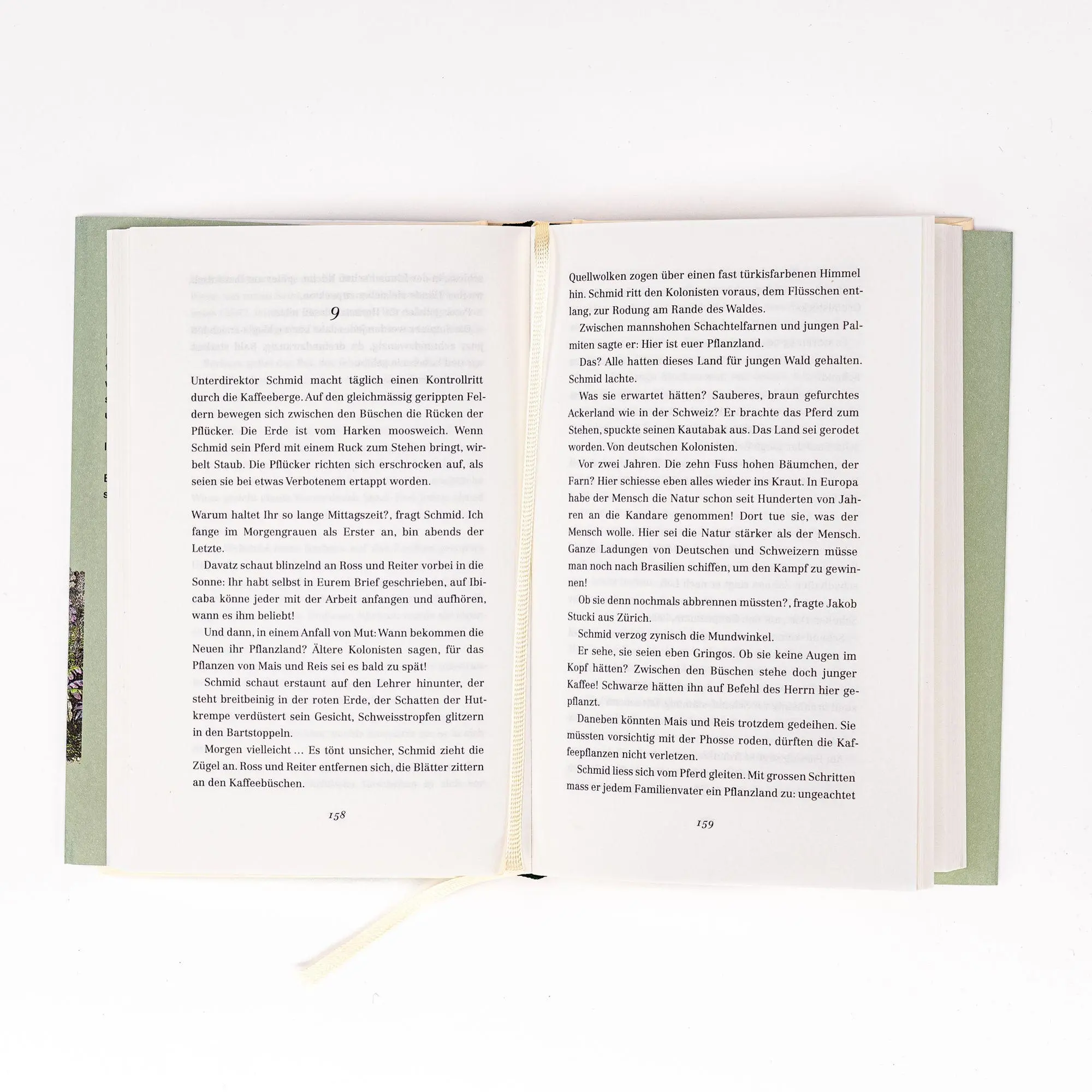 Bild: 9783312013883 | Ibicaba | Eveline Hasler | Buch | 320 S. | Deutsch | 2025