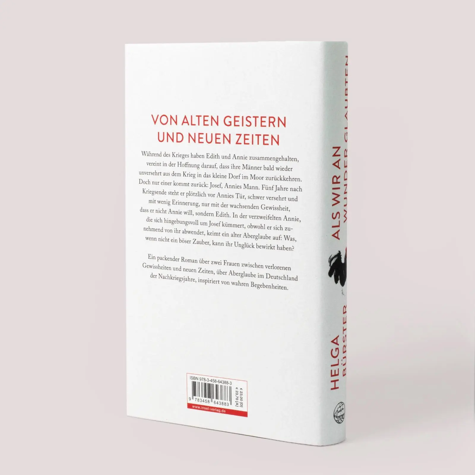 Bild: 9783458643883 | Als wir an Wunder glaubten | Roman | Helga Bürster | Buch | 285 S.