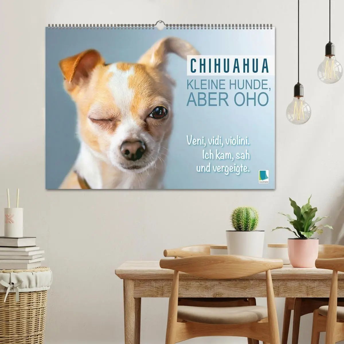 Bild: 9783516673883 | Chihuahua: Kleine Hunde, aber oho (Wandkalender 2026 DIN A2 quer),...