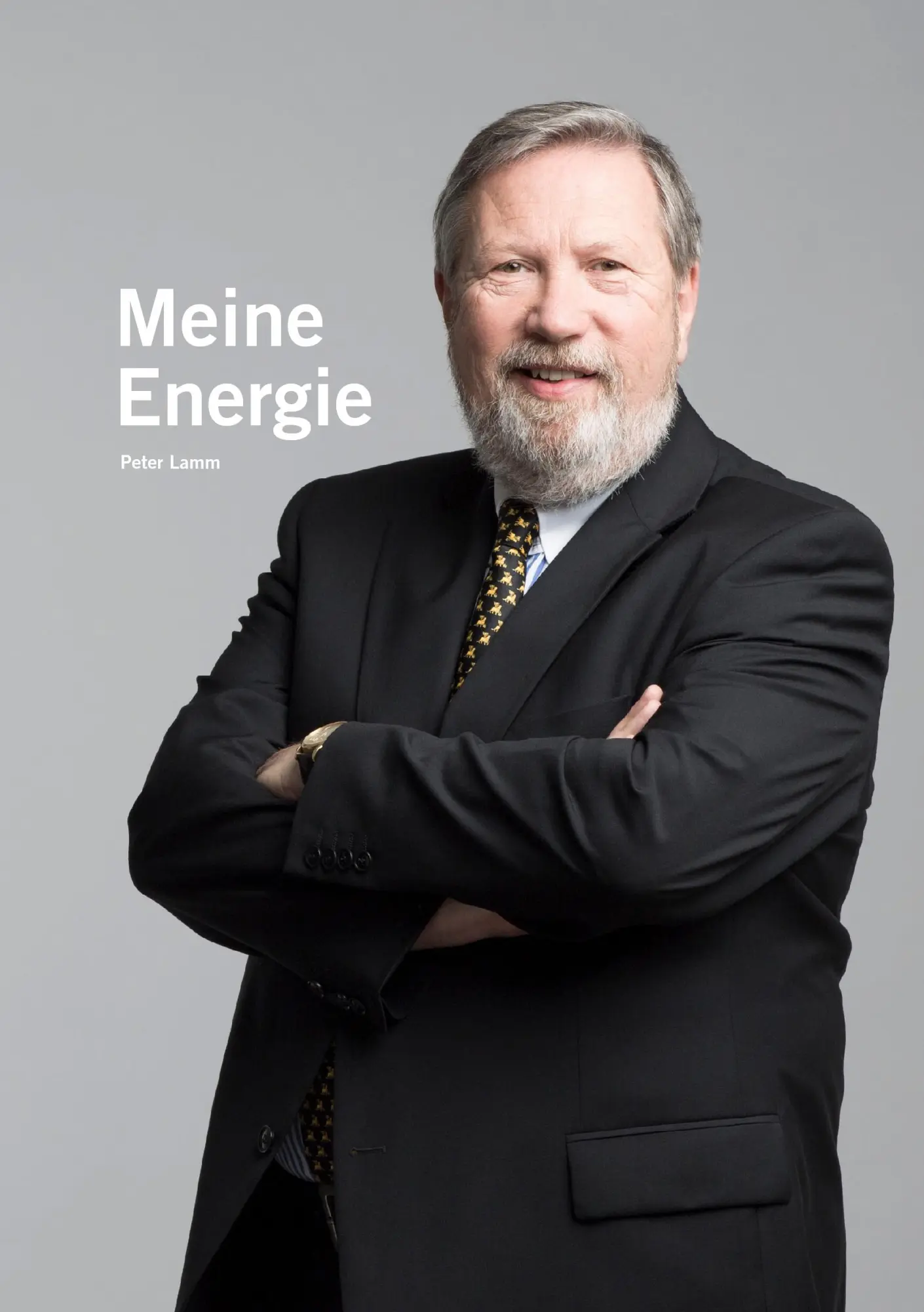 Cover: 9783732253883 | Meine Energie | Peter Lamm | Taschenbuch | 308 S. | Deutsch | 2013