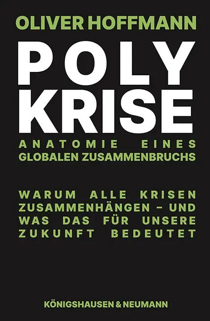 Cover: 9783826093883 | Polykrise | Anatomie eines globalen Zusammenbruchs | Oliver Hoffmann