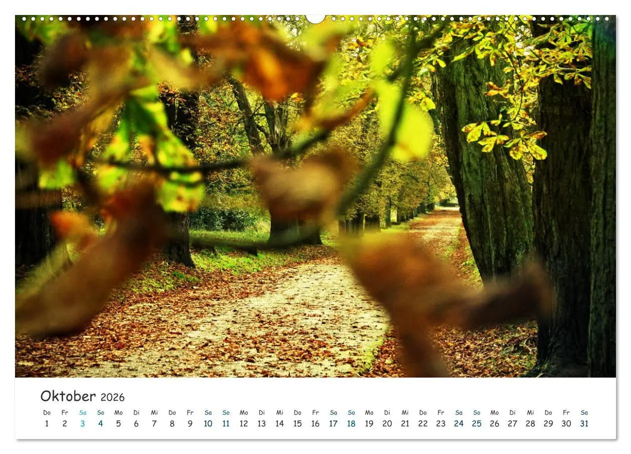 Bild: 9783457883983 | Südost Rügen 2026 (Wandkalender 2026 DIN A2 quer), CALVENDO...