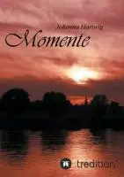 Cover: 9783849543983 | Momente | Johanna Hartwig | Taschenbuch | 68 S. | Deutsch | 2013