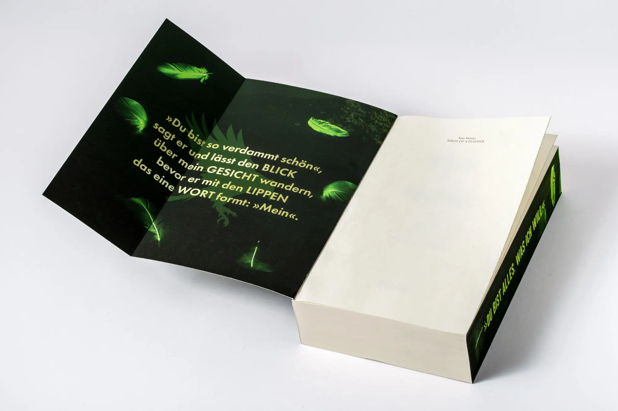 Bild: 9783734114083 | Birds of a Feather | Kate Stewart | Taschenbuch | Ravenhood Legacy