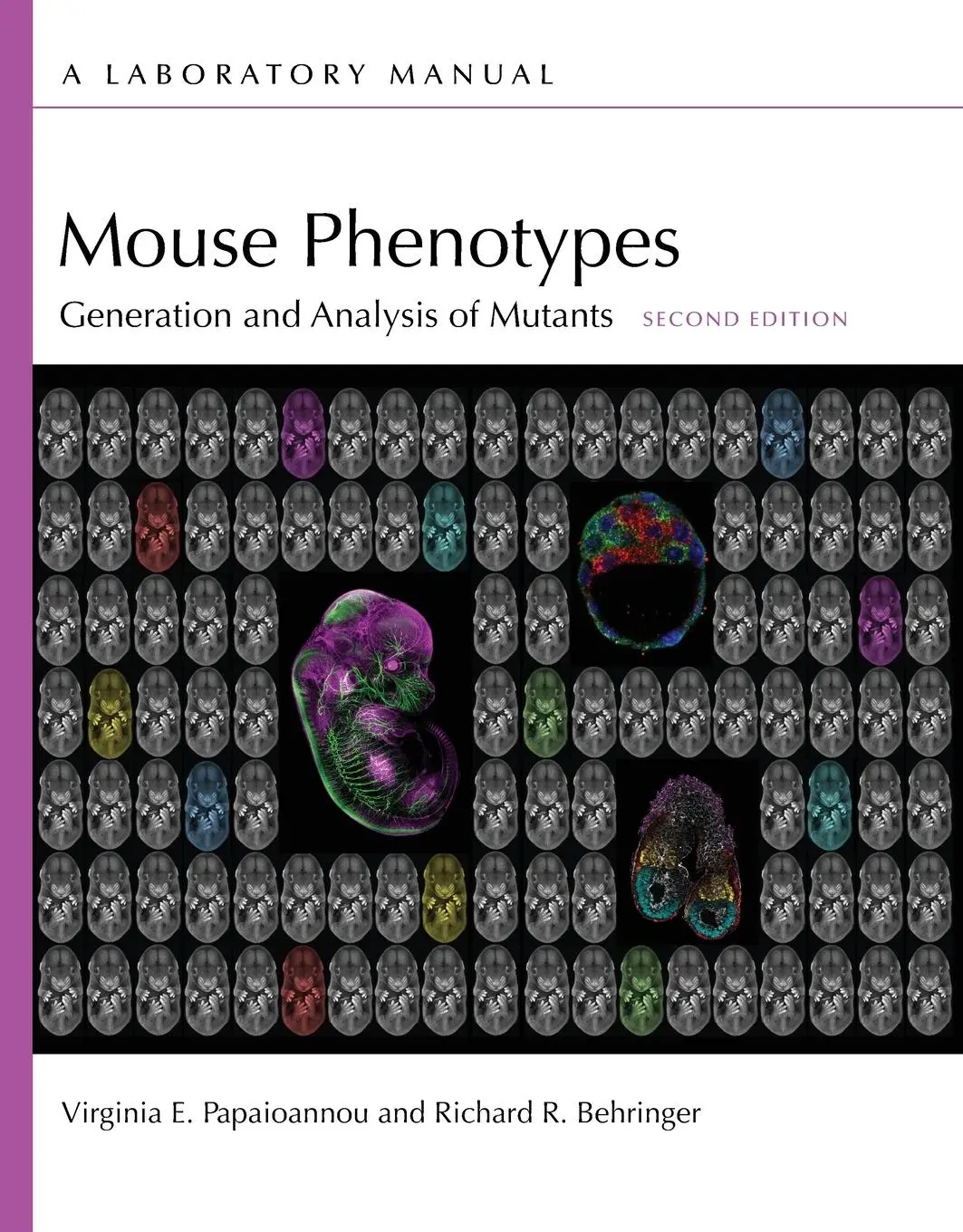 Cover: 9781621824183 | Mouse Phenotypes | Virginia E Papaioannou (u. a.) | Taschenbuch | 2023
