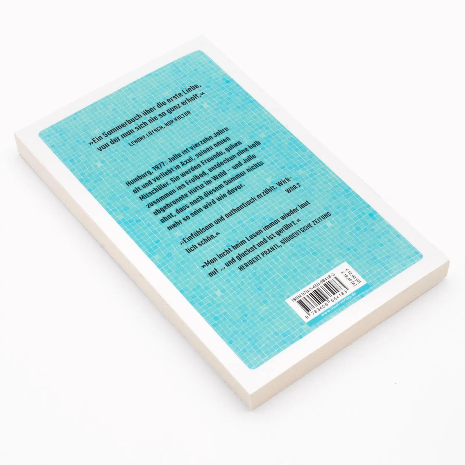 Bild: 9783458684183 | Das Summen unter der Haut | Stephan Lohse | Taschenbuch | 176 S.