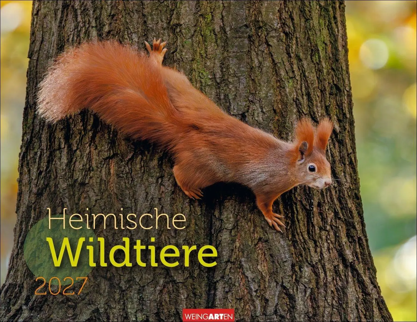 Cover: 9783839904183 | Heimische Wildtiere Kalender 2027 | Kalender | Tierkalender Weingarten