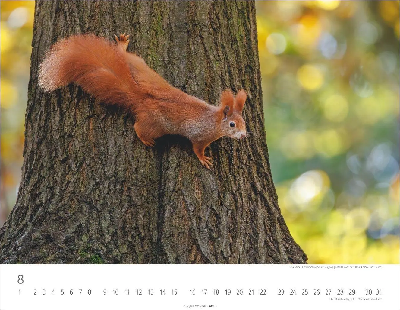 Bild: 9783839904183 | Heimische Wildtiere Kalender 2027 | Kalender | Tierkalender Weingarten