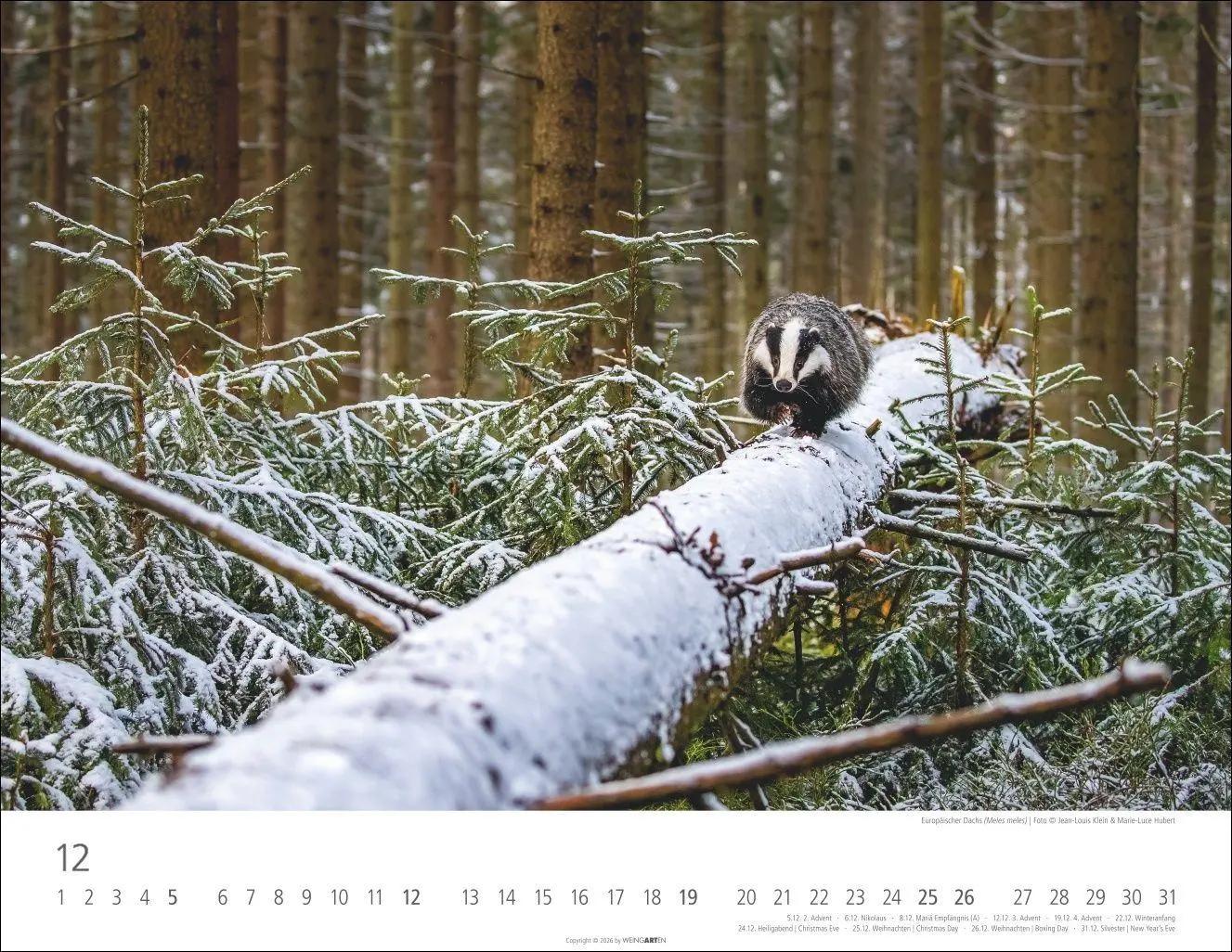 Bild: 9783839904183 | Heimische Wildtiere Kalender 2027 | Kalender | Tierkalender Weingarten