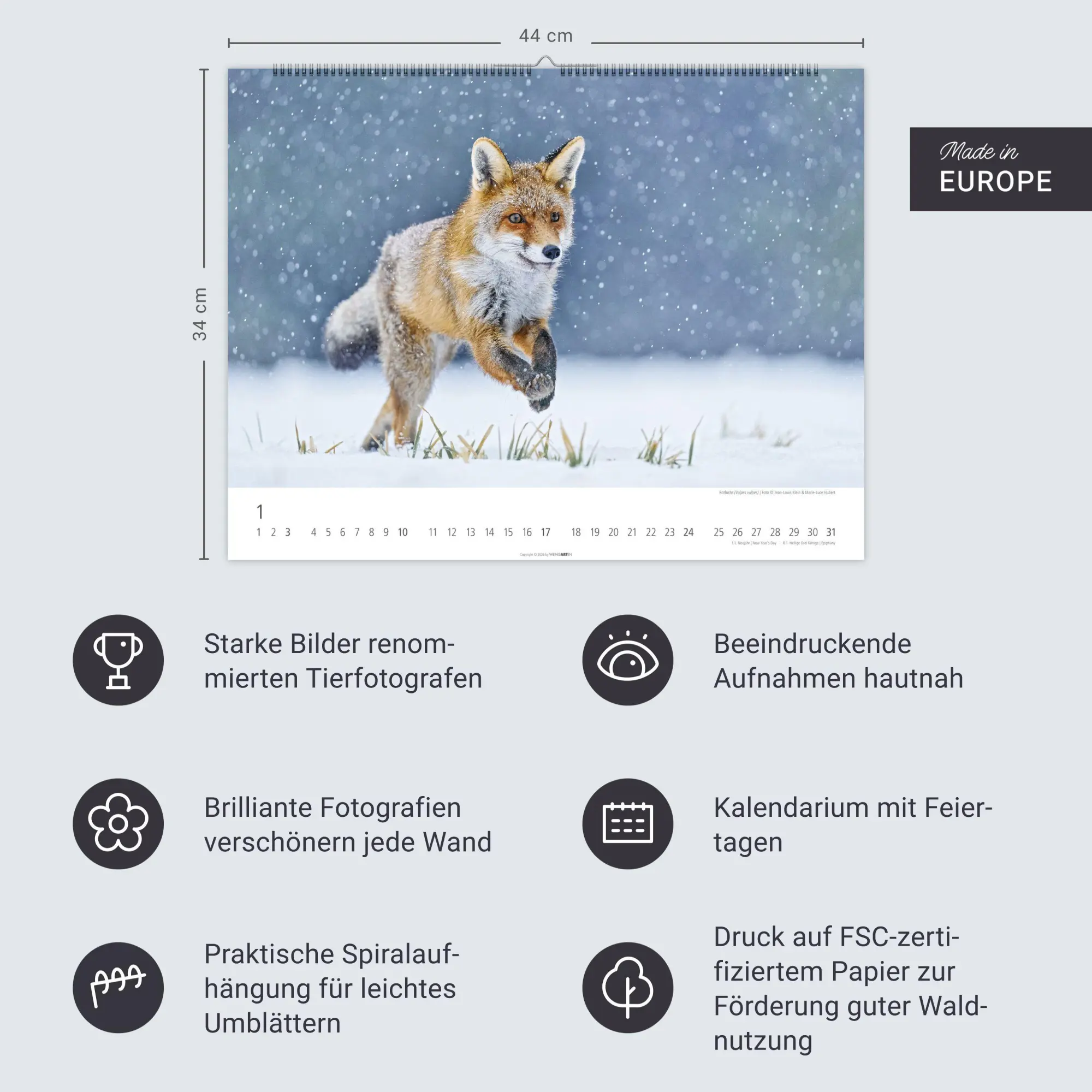 Bild: 9783839904183 | Heimische Wildtiere Kalender 2027 | Kalender | Tierkalender Weingarten