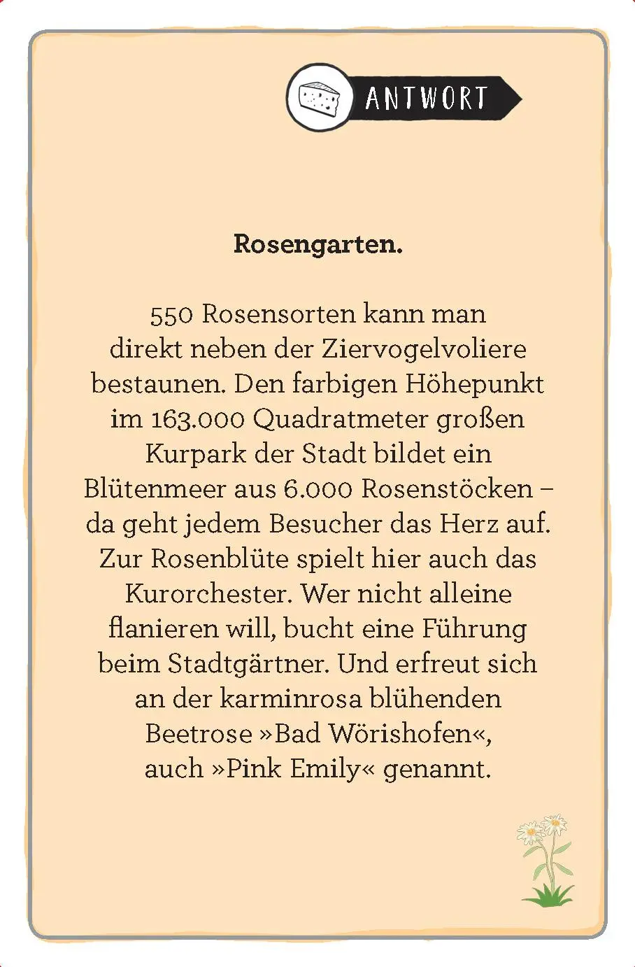Bild: 9783899784183 | Allgäu | Das Heimat-Quiz | Andrea Hesse (u. a.) | Taschenbuch | 104 S.
