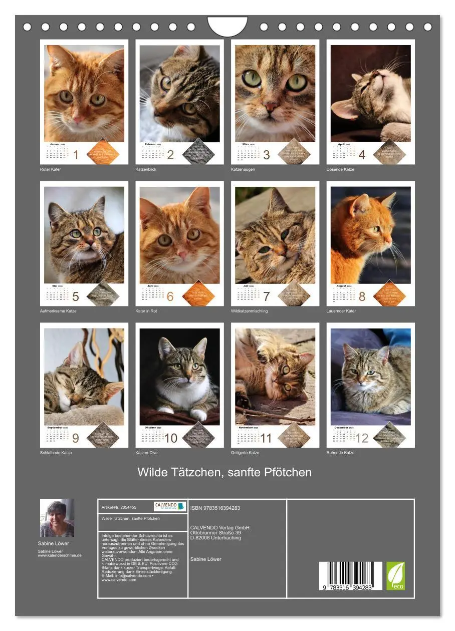 Bild: 9783516394283 | Wilde Tätzchen, sanfte Pfötchen (Wandkalender 2026 DIN A4 hoch),...