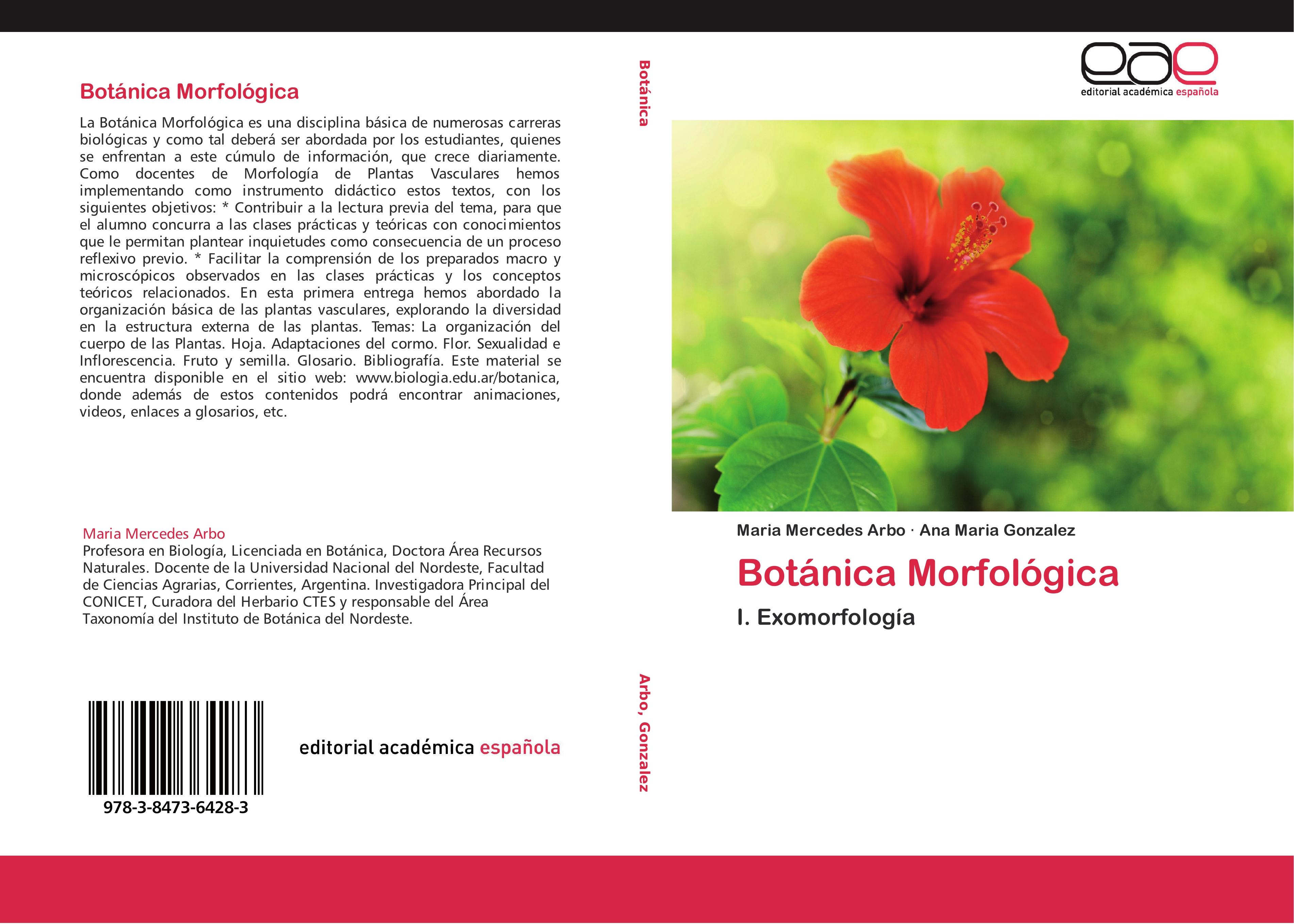 Botánica Morfológica | I. Exomorfología | Maria Mercedes Arbo (u. a.) | Taschenbuch | Paperback | 200 S. | Spanisch | 2012 | Editorial Académica Española | EAN 9783847364283 - Arbo, Maria Mercedes