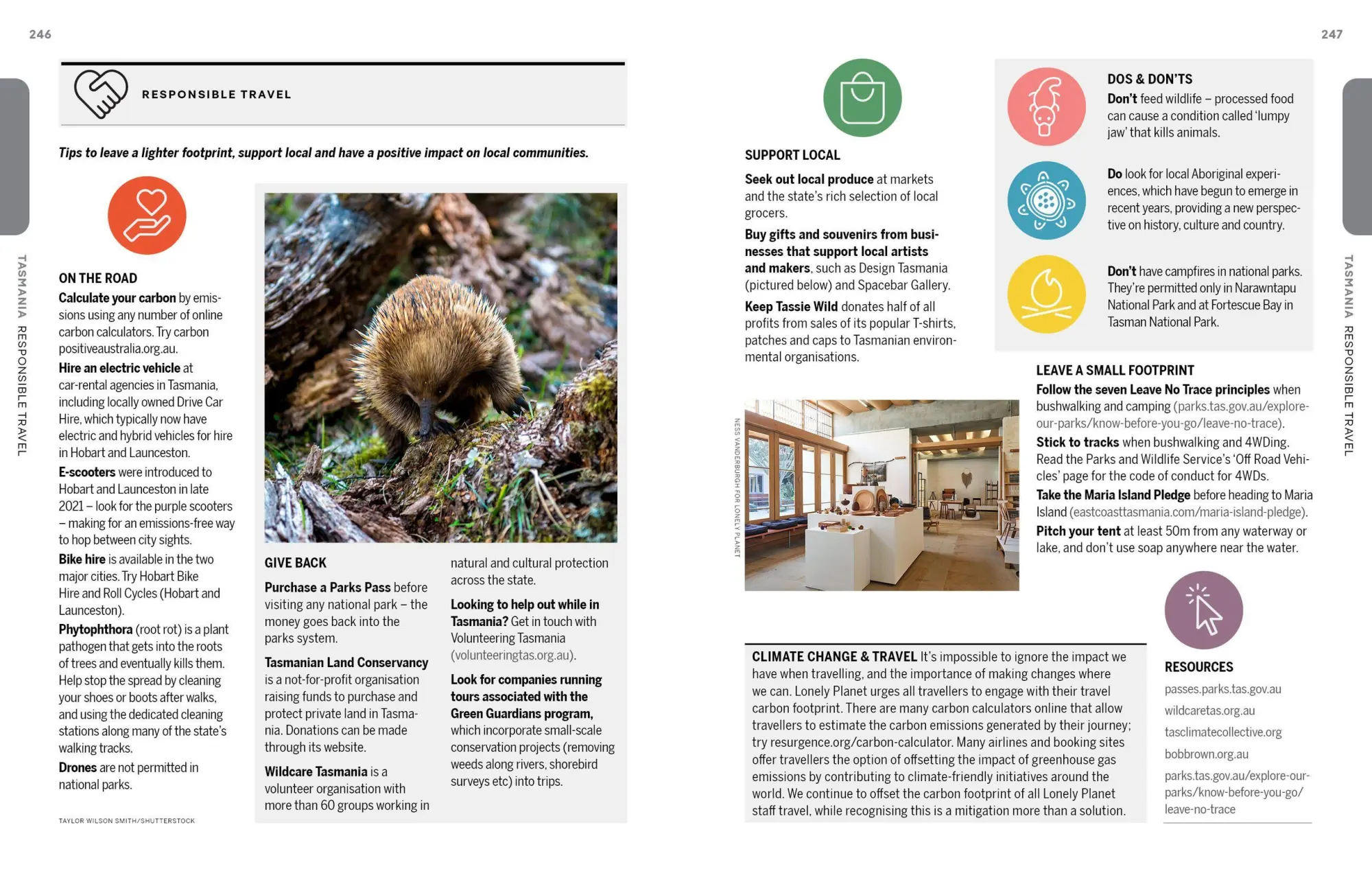 Bild: 9781837584383 | Lonely Planet Experience Tasmania | Andrew Bain (u. a.) | Taschenbuch