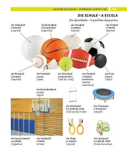 Bild: 9783125164383 | PONS Bildwörterbuch Portugiesisch | Taschenbuch | PONS Bildwörterbuch