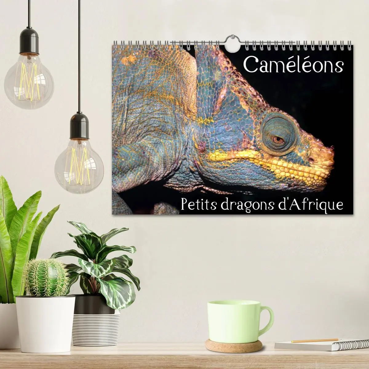 Bild: 9781325954483 | Caméléons - Petits dragons d'Afrique. (Calendrier mural 2025 DIN A4... Bild: 9781325954483 | Caméléons - Petits dragons d'Afrique. (Calendrier mural 2025 DIN A4...