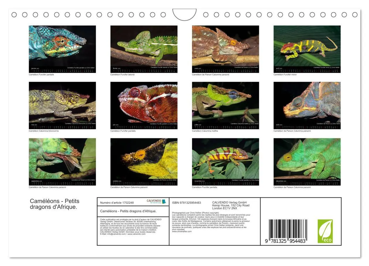 Bild: 9781325954483 | Caméléons - Petits dragons d'Afrique. (Calendrier mural 2025 DIN A4... Bild: 9781325954483 | Caméléons - Petits dragons d'Afrique. (Calendrier mural 2025 DIN A4...