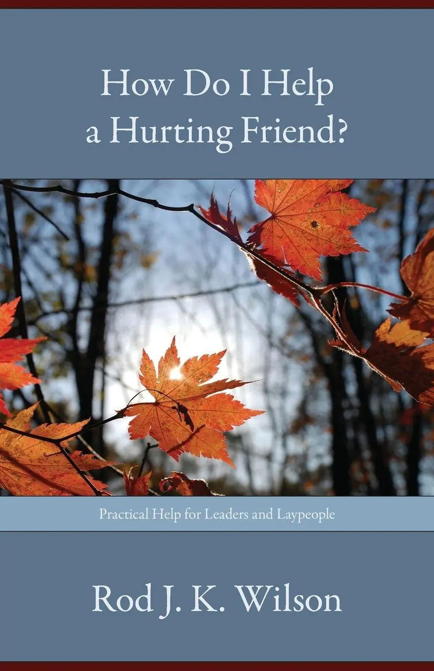 Cover: 9781573834483 | How Do I Help a Hurting Friend? | Rod J. K. Wilson | Taschenbuch