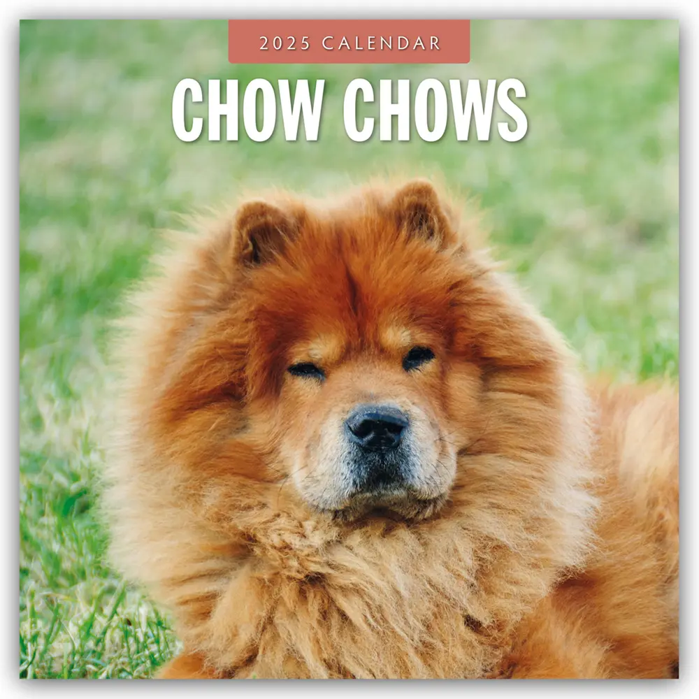Cover: 9781804424483 | Chow Chows - Chow Chow 2025 - 16-Monatskalender | Ltd | Kalender