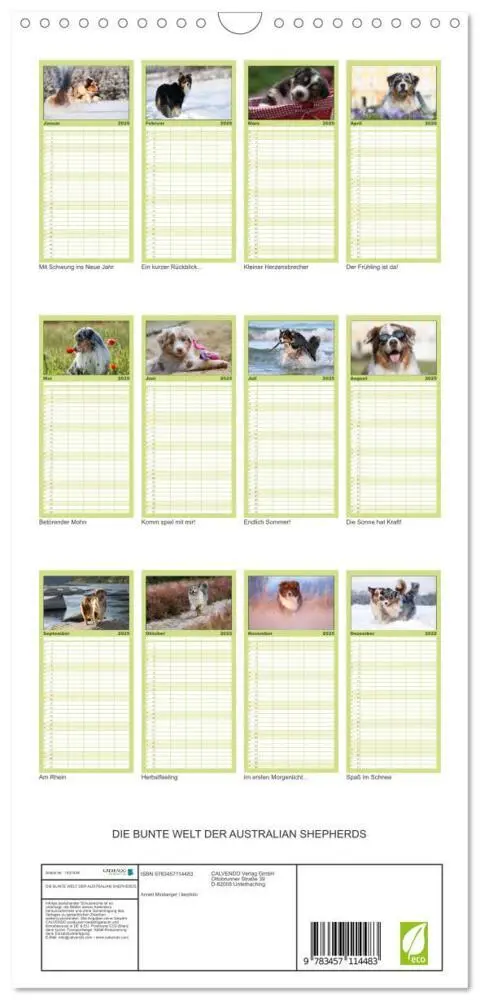 Bild: 9783457114483 | Familienplaner 2025 - DIE BUNTE WELT DER AUSTRALIAN SHEPHERDS mit 5...