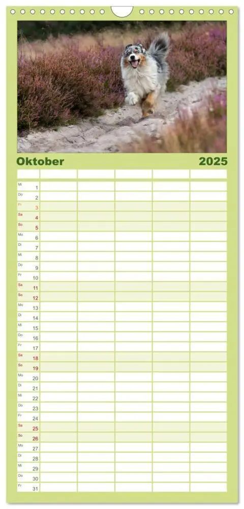 Bild: 9783457114483 | Familienplaner 2025 - DIE BUNTE WELT DER AUSTRALIAN SHEPHERDS mit 5...