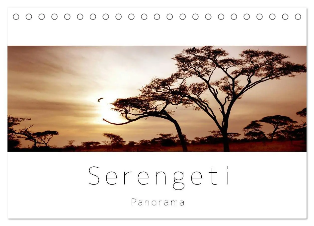 Cover: 9783516124583 | Serengeti Panorama (Tischkalender 2026 DIN A5 quer), CALVENDO...