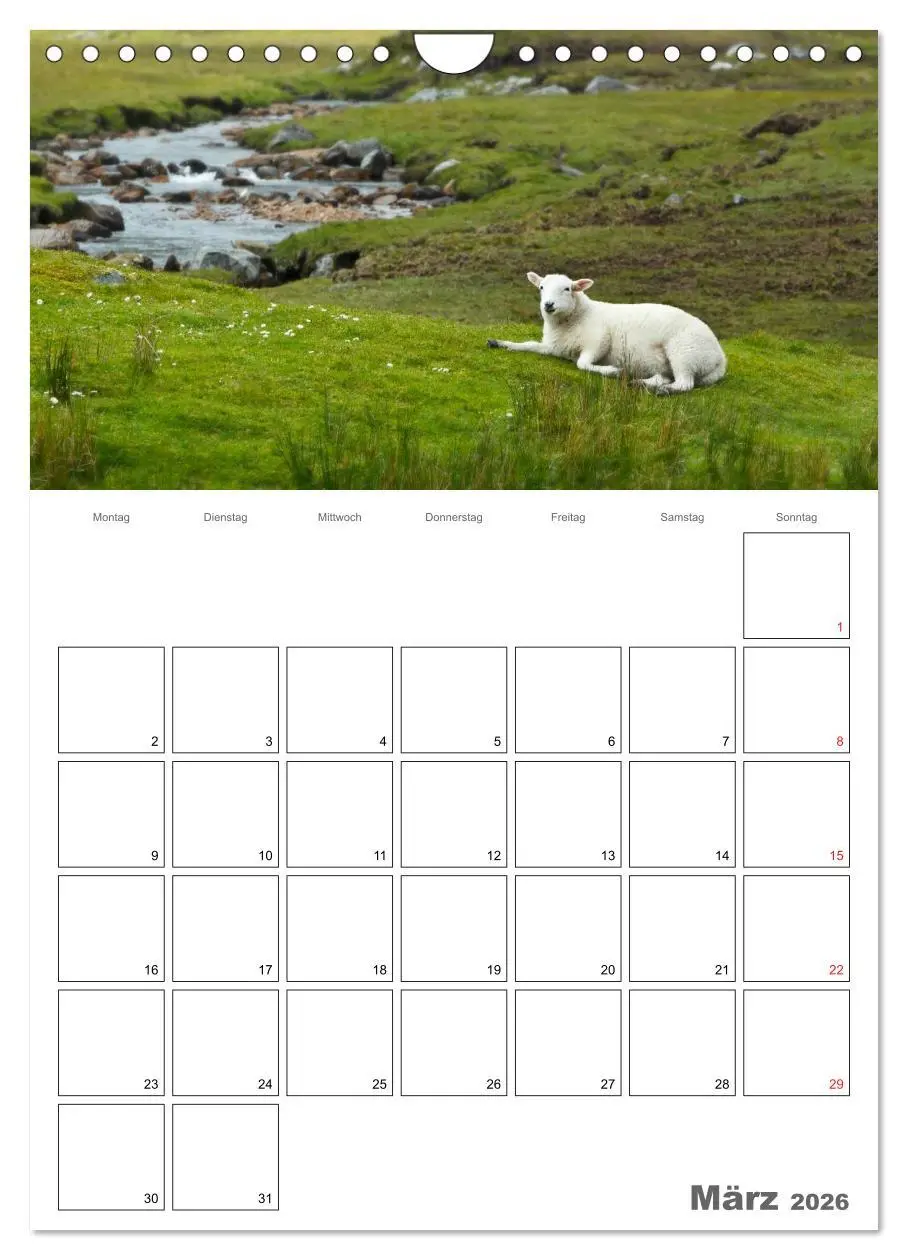 Bild: 9783516434583 | Schottland für Naturliebhaber (Wandkalender 2026 DIN A4 hoch),...