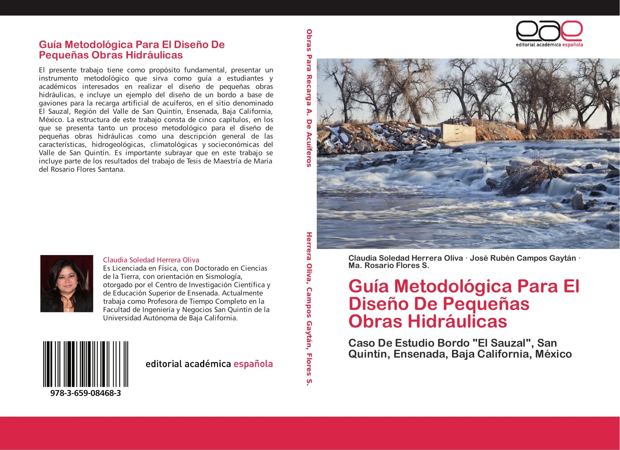 Cover: 9783659084683 | Guía Metodológica Para El Diseño De Pequeñas Obras Hidráulicas | Buch