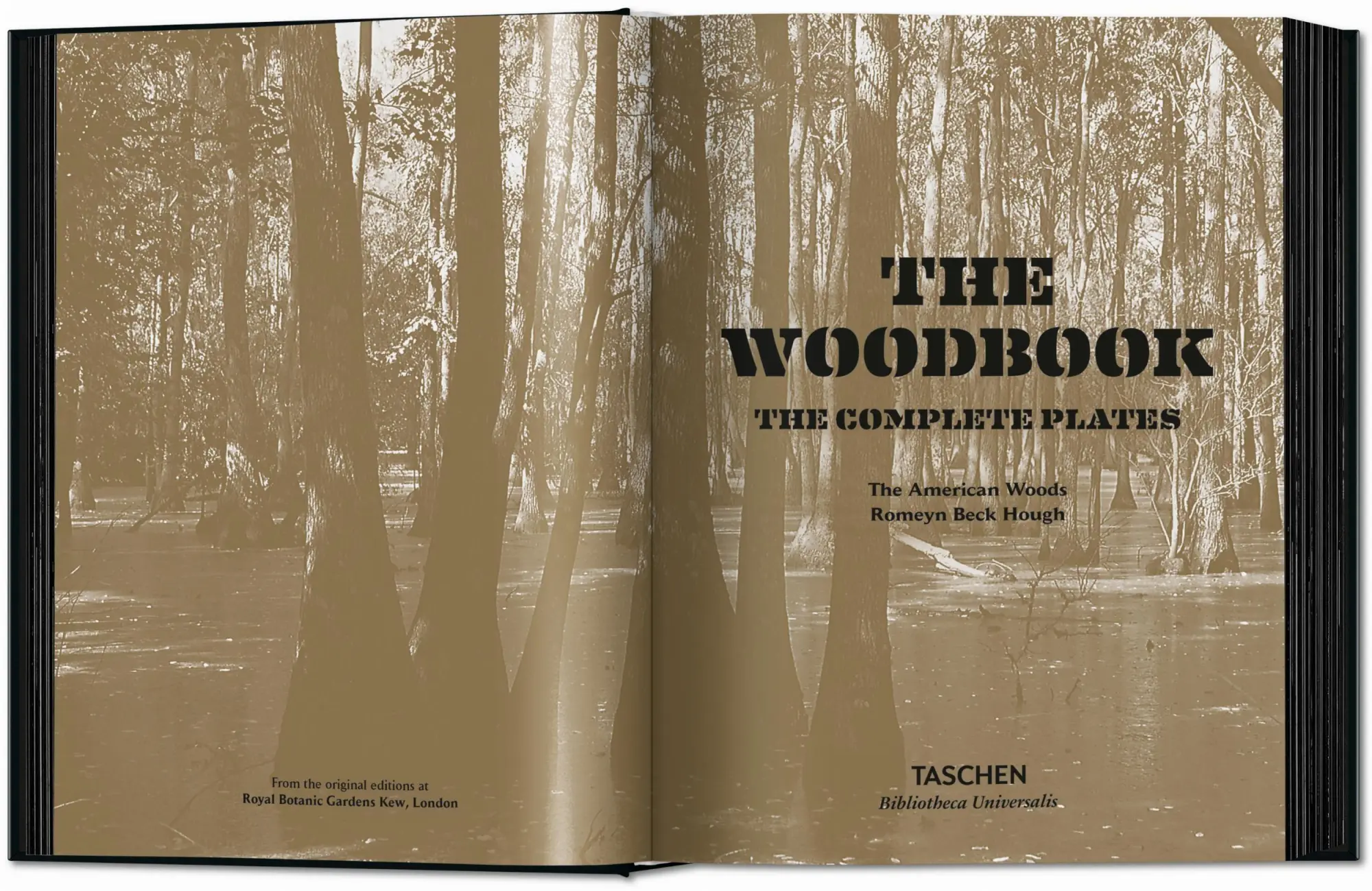 Bild: 9783754404683 | Romeyn B. Hough | The Woodbook. The Complete Plates | Leistikow | Buch