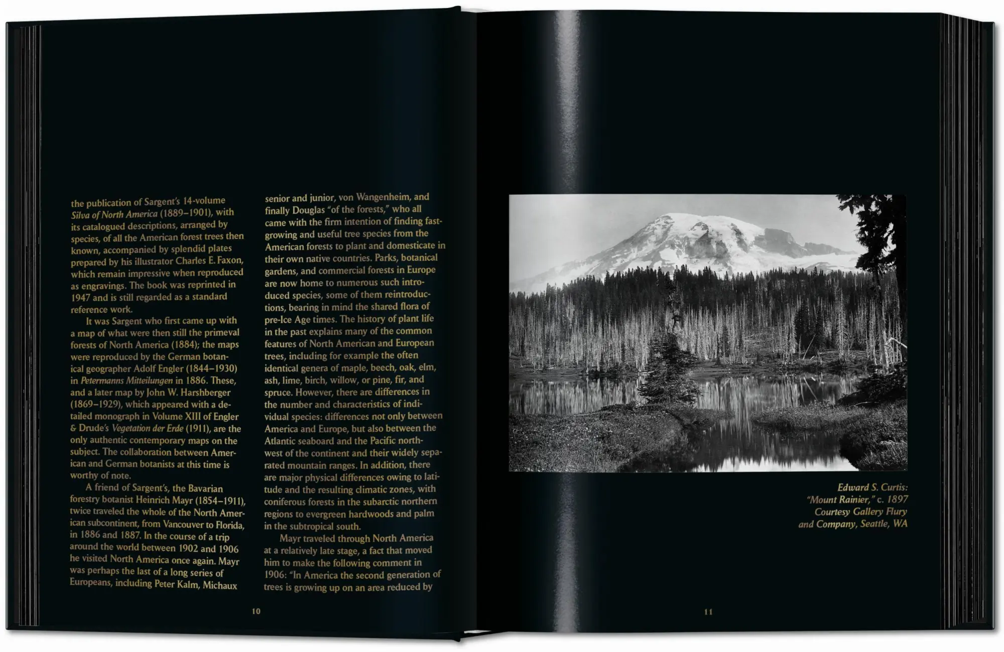 Bild: 9783754404683 | Romeyn B. Hough | The Woodbook. The Complete Plates | Leistikow | Buch