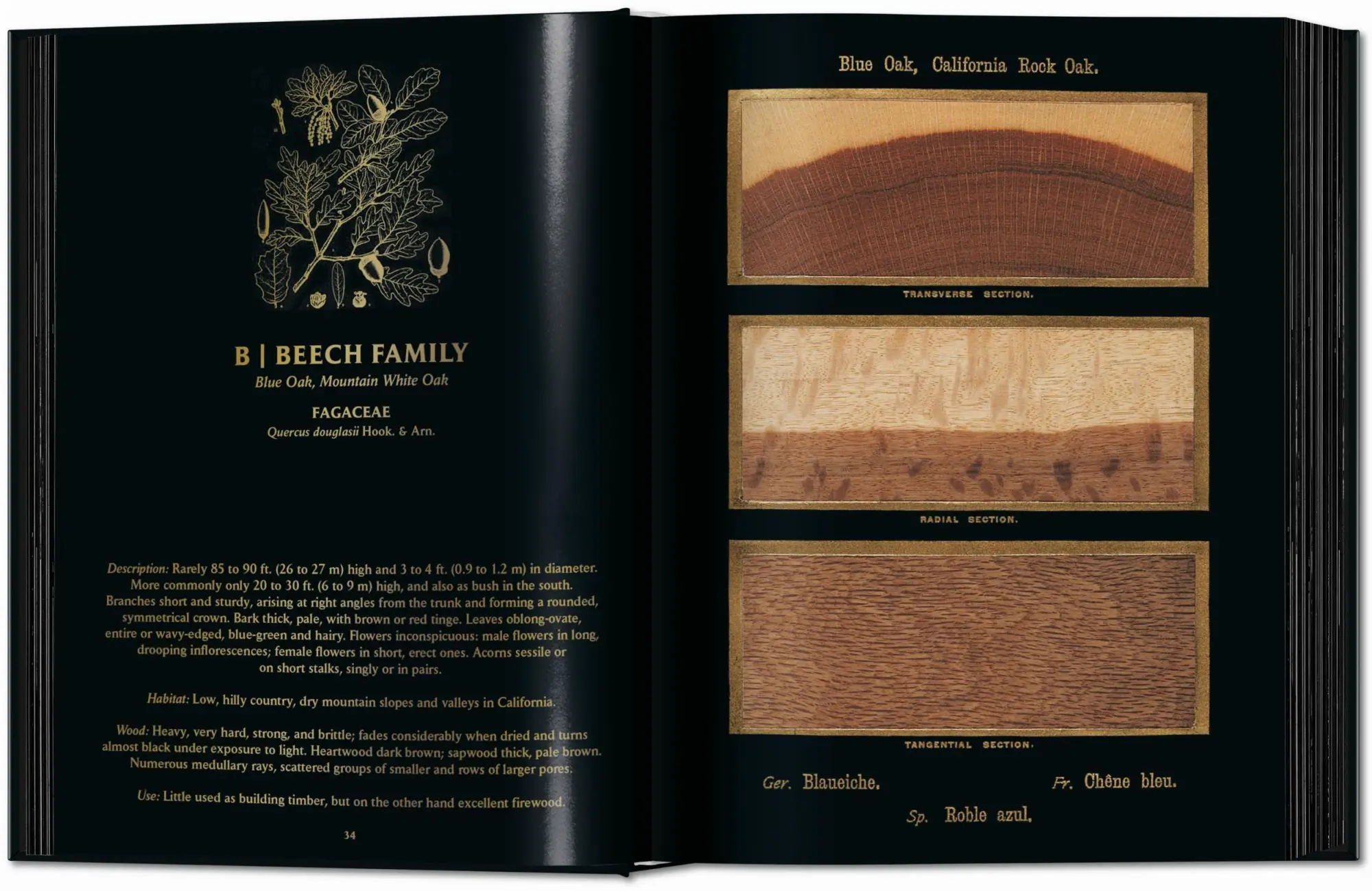 Bild: 9783754404683 | Romeyn B. Hough | The Woodbook. The Complete Plates | Leistikow | Buch