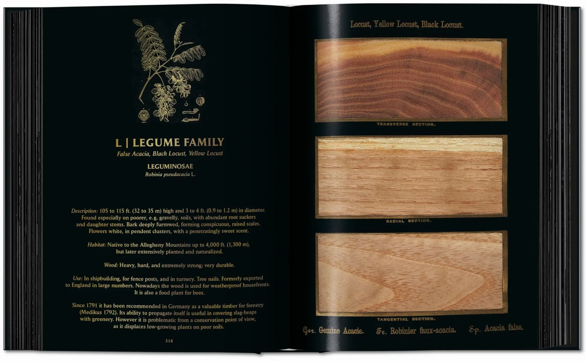 Bild: 9783754404683 | Romeyn B. Hough | The Woodbook. The Complete Plates | Leistikow | Buch