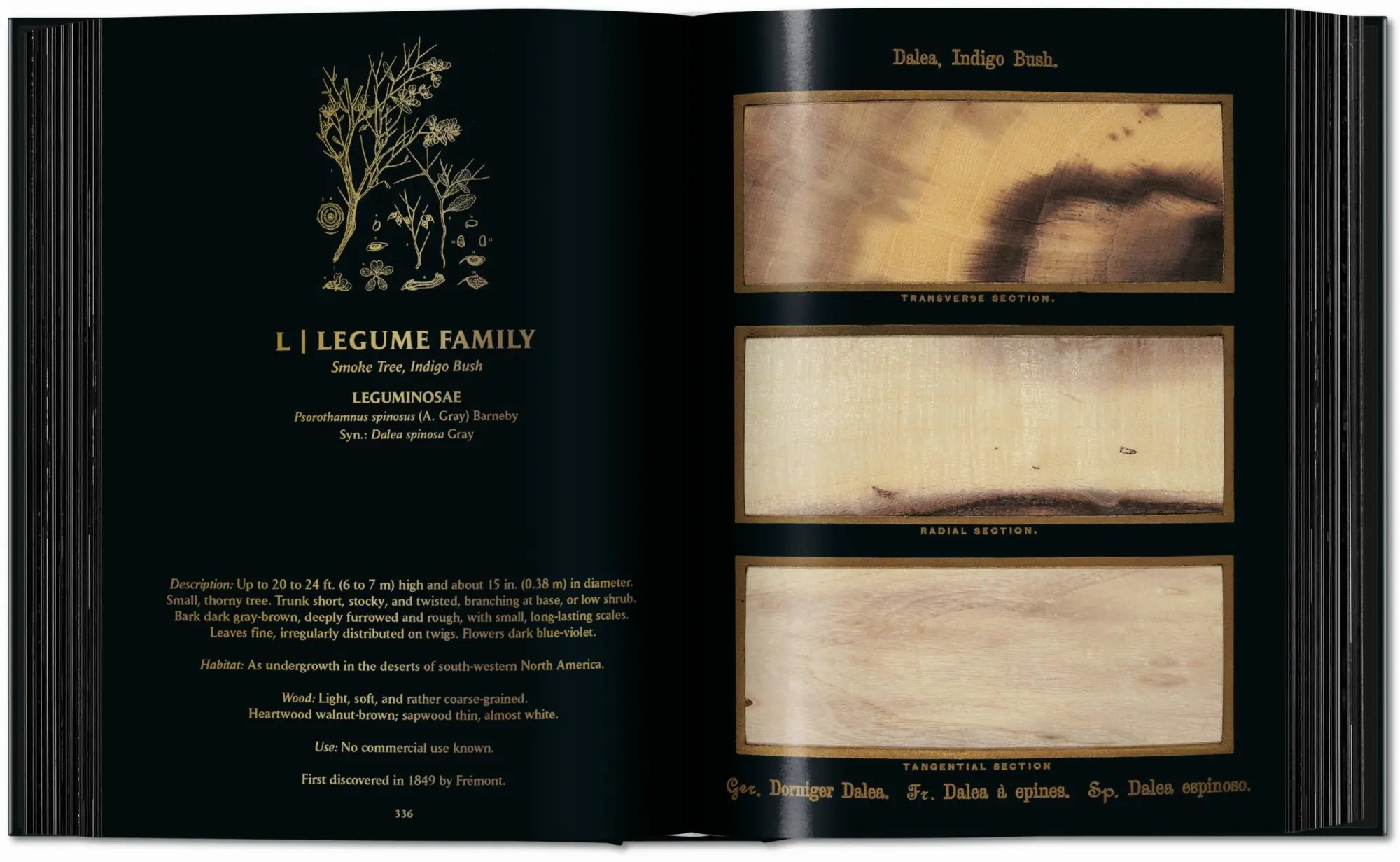 Bild: 9783754404683 | Romeyn B. Hough | The Woodbook. The Complete Plates | Leistikow | Buch
