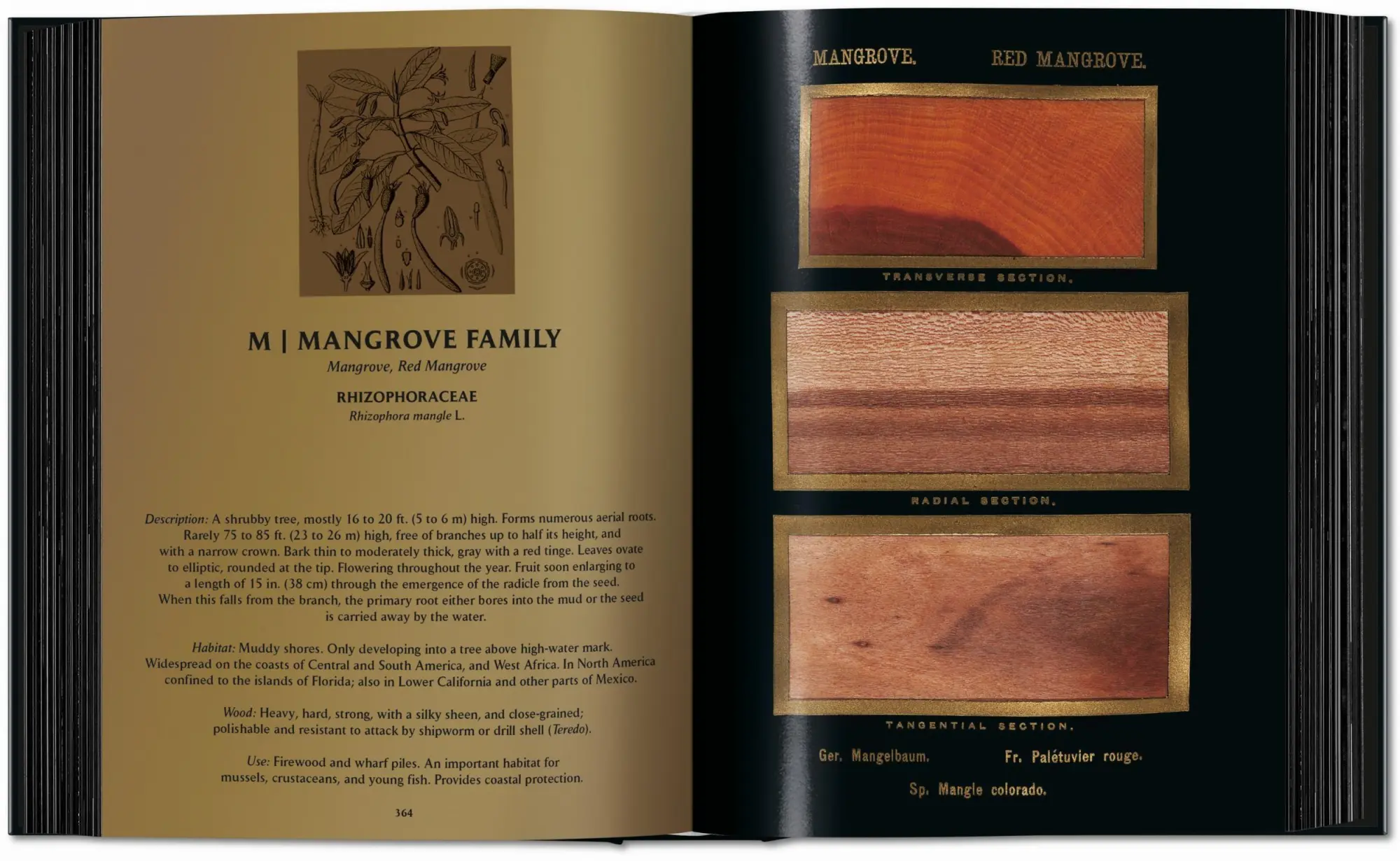 Bild: 9783754404683 | Romeyn B. Hough | The Woodbook. The Complete Plates | Leistikow | Buch